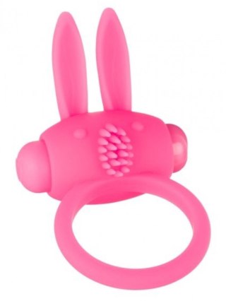 Pierścień wibrujący Bunny Argus różowy
